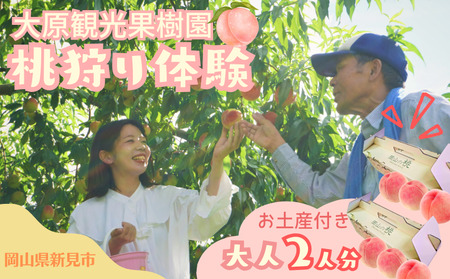 大原観光果樹園 桃狩り体験ペアチケット2人（桃お土産付き）