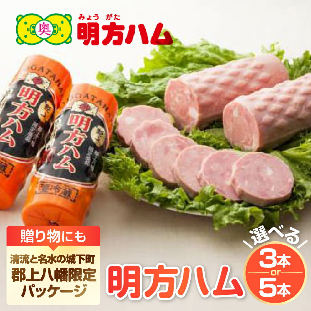【ふるさと納税】明方ハム郡上八幡限定バージョン 3本・5本 / 食品 肉加工品 加工品 セット 詰め合わせ 25000円 20000円