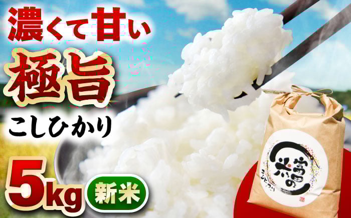 
            【選べる発送月】【R7年新米】恵那岩村とみだコシヒカリ精米5kg / こめ コメ 米 おコメ お米 おこめ 精米 せいまい コシヒカリ こしひかり 新米 しんまい 5kg 岐阜県産 恵那市産 おすすめ 人気 産地直送 送料無料 ギフト 贈答 / 恵那市 / 山丸屋商店 [AUDA001P]
          