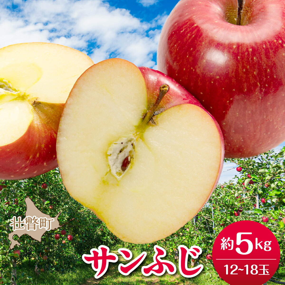【ふるさと納税】【先行予約】北海道壮瞥町産りんご「サンふじ」約5kg(12～18玉)《2026年12月上旬にお届け》 【 りんご リンゴ 林檎 ふじ サンふじ 蜜入り 5kg ジュース 果物 くだもの フルーツ 送料無料 】 SBTF007