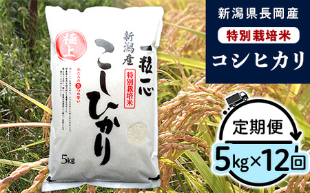 48-7N05Z【12ヶ月連続お届け】新潟県長岡産特別栽培米コシヒカリ5kg