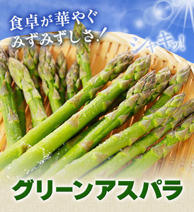 アスパラガス L サイズ 1kg (500g×2) アスパラ 北海道