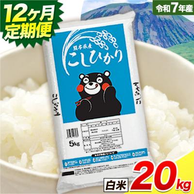 ふるさと納税 南阿蘇村 【12ヶ月定期便】こしひかり 白米 20kg 精米 《お申し込みの翌月から出荷》