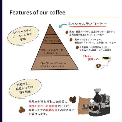 ふるさと納税 豊川市 コーヒー豆 ゲイシャ エスメラルダ農園 ウォッシュド  浅煎り 200g(豆のまま) |  | 02