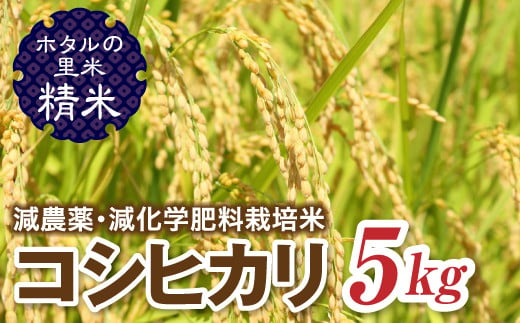 令和6年産【ホタルの里米】環境に配慮し農薬を減らした栽培米 コシヒカリ精米5kg 米 お米 おこめ ご飯 ごはん 福島県 西会津町 F4D-0693