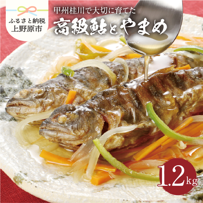 【ふるさと納税】 鮎 やまめ 魚 川魚 セット ギフト 和食 セット 甲州桂川の鮎と桂川のやまめ(Bセット) 贈答 贈り物 送料無料 ※沖縄県、離島不可 山梨県 上野原市