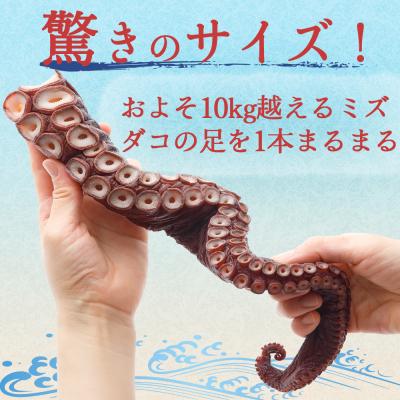ふるさと納税 むつ市 津軽海峡産ボイルミズダコ足　1.2kg |  | 02