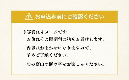 富山湾産おまかせ干物セット「禄」 ※北海道・沖縄・離島への配送不可
