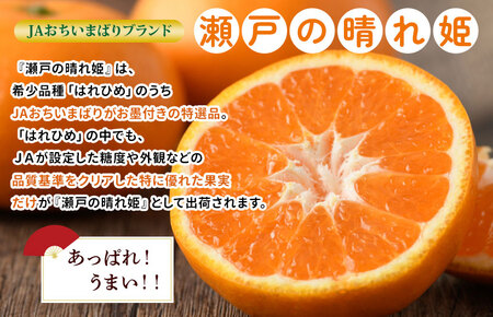 【先行予約】瀬戸の晴れ姫4kg [KC01230] 2026年12月中旬～2027年1月中旬に順次発送予定 愛媛県産 愛媛県 期間限定 はれひめ 果物ふるさと 愛媛みかん 甘いみかん 果物 故郷納税フ