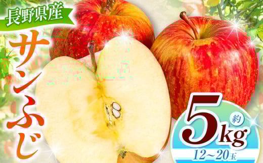 【2025年先行予約】サンふじ 5kg ｜ 浅野農園 リンゴ りんご 林檎 果物 くだもの フルーツ 果実 果汁 サンふじ 長野県 松川村 信州 北アルプス