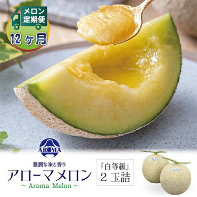 【ふるさと納税】【毎月定期便】アローマメロン(白等級) 2玉 全12回【配送不可地域：離島・北海道・沖縄県】【4013006】