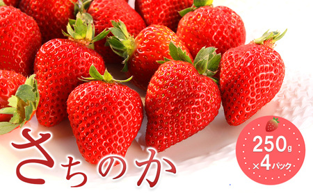 おすすめ品種「さちのか」4パック　250g×4パック　『とくしま安２（安全・安心）農産物』優秀認定取得