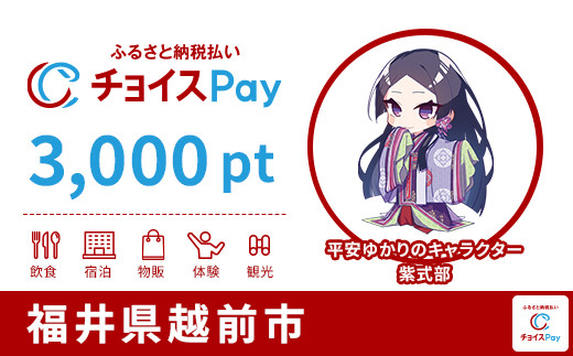
            越前市チョイスPay 3,000pt【会員限定のお礼の品】
          