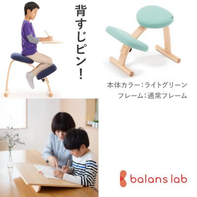 ふるさと納税 美濃市 バランスイージー 通常[ライトグリーン]+イージーライティングボードL【複数個口で配送】