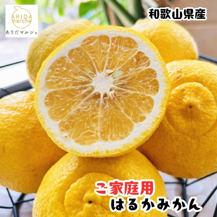 【ふるさと納税】＼選べる内容量／ 【人気柑橘】有田育ちの はるか みかん（訳あり 家庭用）1～10kg+200g(傷み補償分)