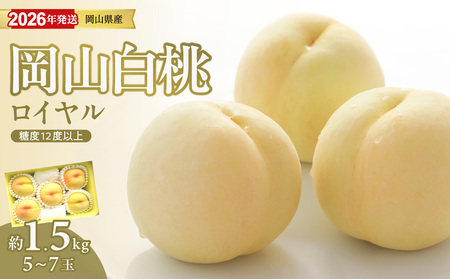 【2026年発送分 先行受付スタート！】岡山県産 白桃 最高ランク！「ロイヤル」約1.5kg（ 5～7玉）（令和8年7月以降発送）【桃】hz-m