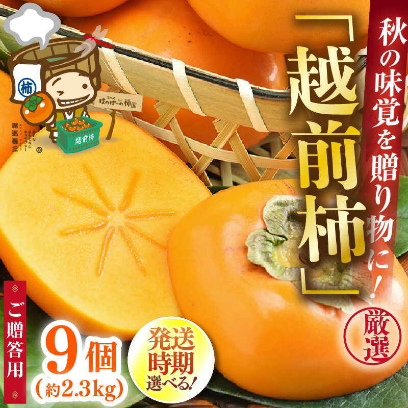 【ふるさと納税】【先行予約】【選べる発送時期】秋の味覚を贈り物に！厳選「越前柿」大玉 9個（ご贈答用） ／ 果物 フルーツ かき 種なし 産地直送 期間限定 ※2026年10月下旬以降発送予定