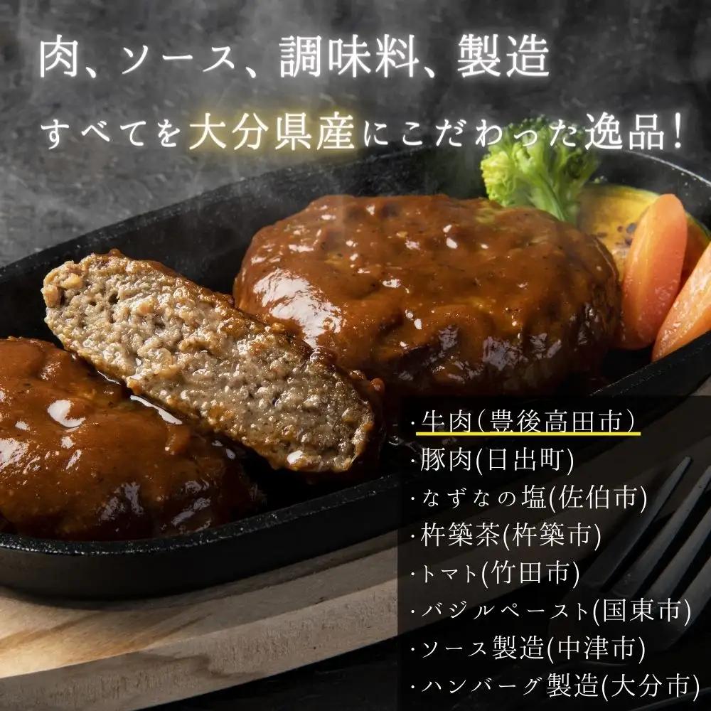 ハンバーグ 大分の恵み ハンバーグ 160g×10個