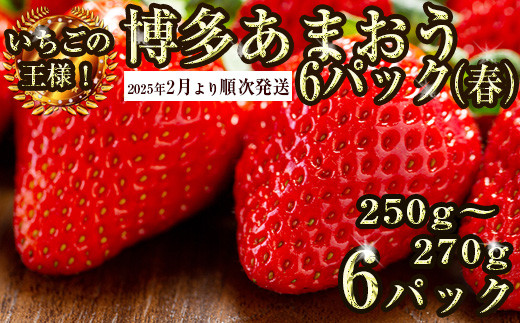 
            【ふるさと納税】【先行予約】【2025年2月上旬より順次発送】博多あまおう6パック（春）いちご 苺 イチゴ 合計約1500g ブランド ストロベリー 博多 大人気 ナンバーワン NO1 限定品 高級 フルーツ 果物 くだもの 九州 福岡 宮若市 ふるさと納税 おすすめ 送料無料 M762
          