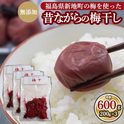ふるさと納税 新地町 昔ながらの梅干し <選べる内容量>200g×3パック