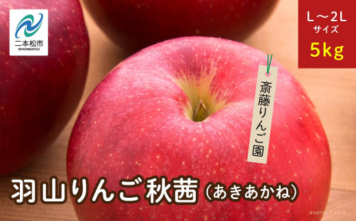 《2026年10月下旬以降順次発送》羽山のりんご　秋茜L〜2Lサイズ5kg りんご リンゴ 果物 フルーツ 羽山りんご 5kg 秋茜 人気 くだもの おすすめ お中元 お歳暮 ギフト 二本松市 ふくしま 福島県 送料無料【斎藤りんご園】