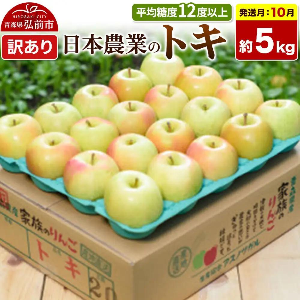 【26年10月発送】りんご トキ【訳あり】約5kg 平均糖度12度以上 青森県 弘前市 果物 フルーツ 林檎 リンゴ くだもの 不揃い 規格外