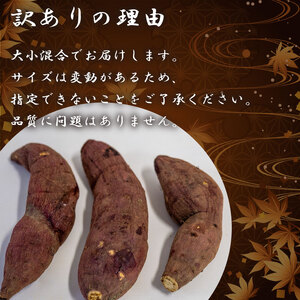 訳あり 冷凍 焼き芋 2kg 紅はるか 数量限定 選抜紅はるか 高知県 須崎市