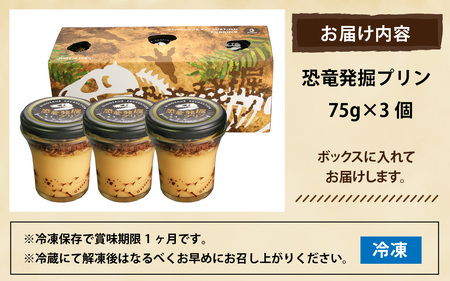 恐竜発掘プリン３個　A-026038