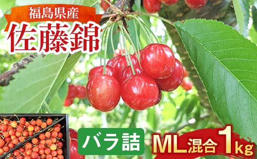 さくらんぼ ＜佐藤幸男農園＞ 佐藤錦 ML混合 1kg バラ詰 F7X-0220