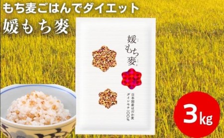 もち麦 媛もち麥 雑穀 愛媛県産 もち麦【1kg×3袋】