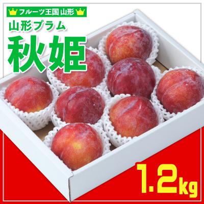 ふるさと納税 山形市 ★フルーツ王国山形★山形プラム(秋姫)1.2kg すもも【令和8年産先行予約】FS25-097