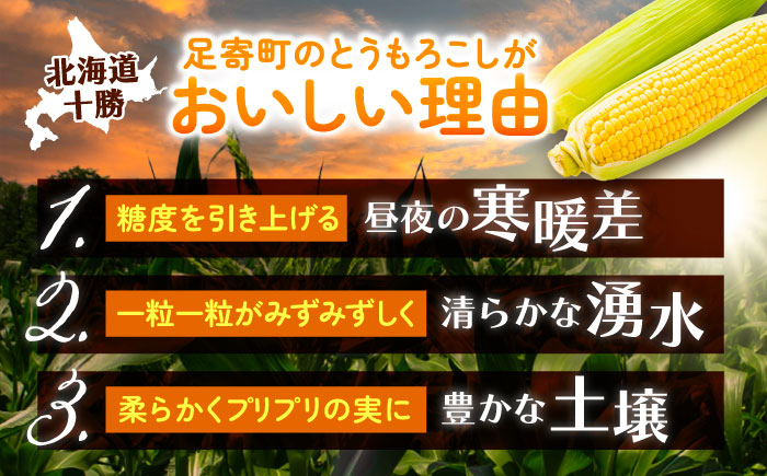 【全2回定期便】とうもろこし（10本）＆じゃがいも（10kg）《足寄町》【党崎農場】トウモロコシ とうもろこし 甘い 野菜 国産 新鮮 ジャガイモ じゃがいも 食べ比べ 芋 いも レンチン 定期便 北