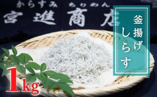 鮮度抜群！ 海の玄米 子ども用釜揚げシラス 1kg