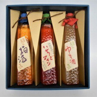 【ふるさと納税】17-11　リキュール・果実酒セット | お酒 酒 おさけ リキュール 果実酒 ゆず酒 梅酒 いちごワイン プレゼント ギフト 贈り物 贈答 家飲み 栃木県※着日指定不可