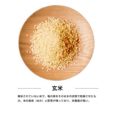 ふるさと納税 潟上市 【毎月定期便】秋田県産あきたこまち 30kg(玄米)全6回 |  | 01