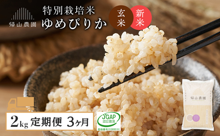 【新米発送】【定期便 3ヶ月】特別栽培米産地直送 玄米 ゆめぴりか 2kg×3回 《帰山農園》