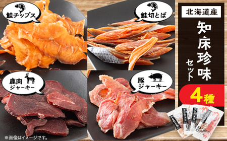 知床珍味セット　鹿肉ジャーキーや鮭チップスのセット【配送不可地域：離島・沖縄県】【1479536】