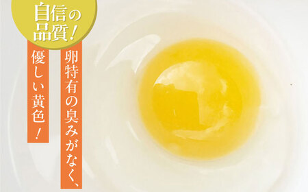 【全3回定期便】平飼いニワトリの有精卵！ほんまの卵定期便 計90個（30個×3回） / たまご 卵 平飼い / 佐賀県 / 本間農園[41AJAA020]