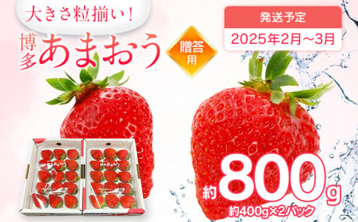 【2025年2月～3月順次発送予定】 あまおう 約400g×2パックＥＸ　 合計約800g