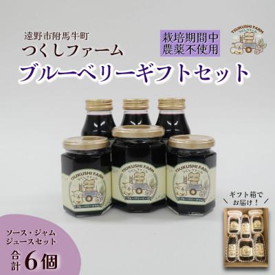 ふるさと納税 遠野市 ブルーベリージュース&amp;ジャム&amp;ソース 合計6個セット 栽培期間中農薬不使用 つくしファーム 遠野