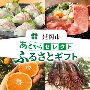 あとからセレクト50万円 N0159-YK006