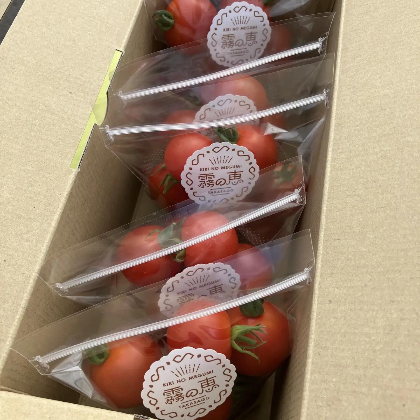 霧の恵(ミディトマト)　甘み・旨みのバランスがよく、口当たりの良いフルーツのような味わいのミディトマト【トマト　兵庫県　高砂市】