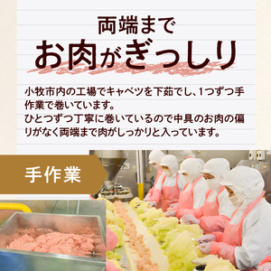 ＜2か月に1回　計3回　定期便＞国産キャベツと豚肉のロールキャベツ（6P入り）[022J21-T]
