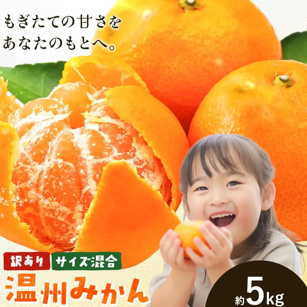 訳あり みかん 温州 みかん ご家庭用 約5kg エイワ商店