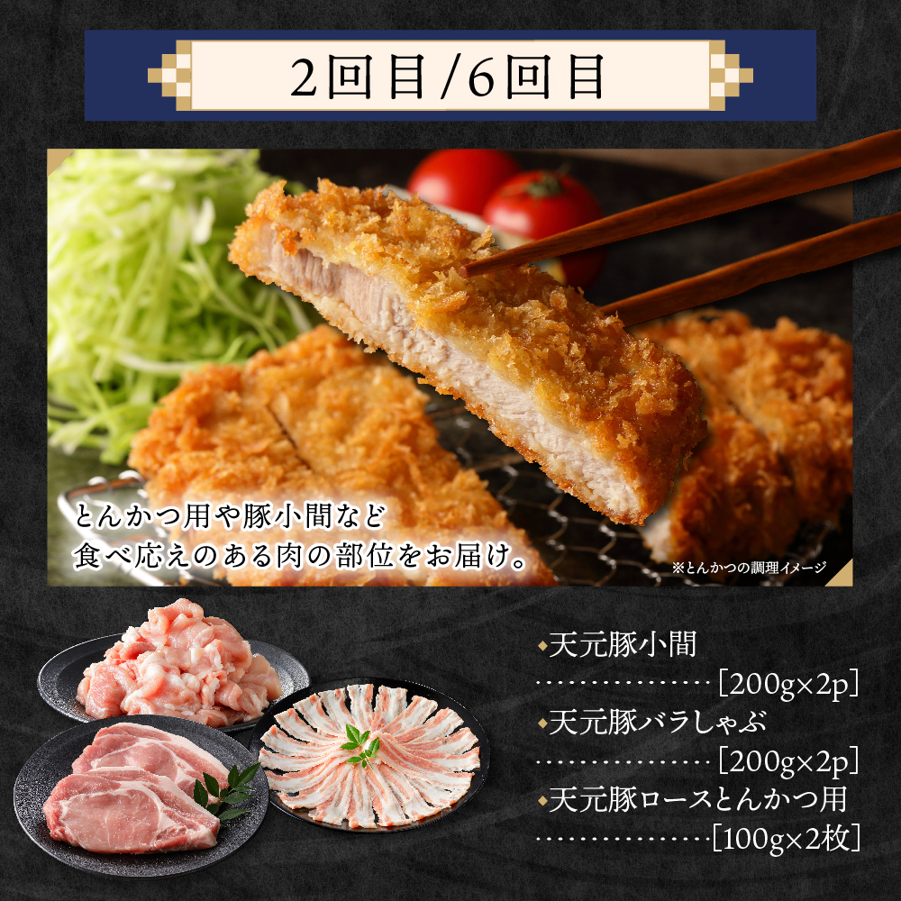 【8ヶ月定期便】 豚肉 天元豚 食べ比べ 全8回 ロース バラ 小間 モモ 挽き肉 便利 小分け 冷凍 しゃぶしゃぶ 焼肉 とんかつ 生姜焼き ブランド豚 国産 山形県 米沢市