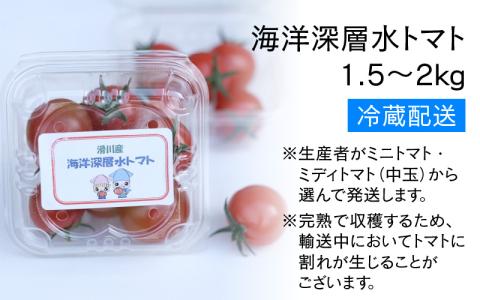 【期間限定】海洋深層水トマト