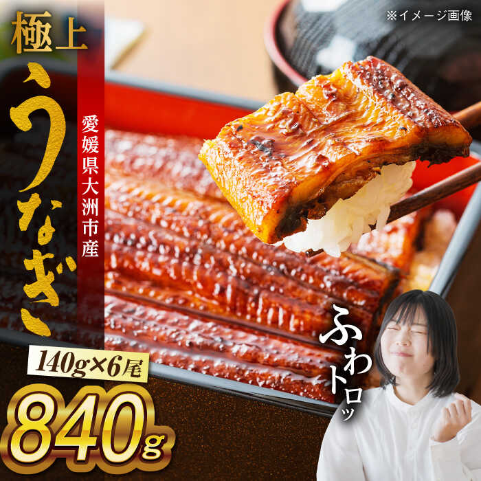 【ふるさと納税】 うなぎ 蒲焼き 6尾 セット（ 2尾 × 3箱 ） | 人気 おすすめ ランキング おいしい 国産 蒲焼 鰻重 うな丼 土用の丑 大洲市/有限会社 樽井旅館[AGAH003] 100000 100000円 以下