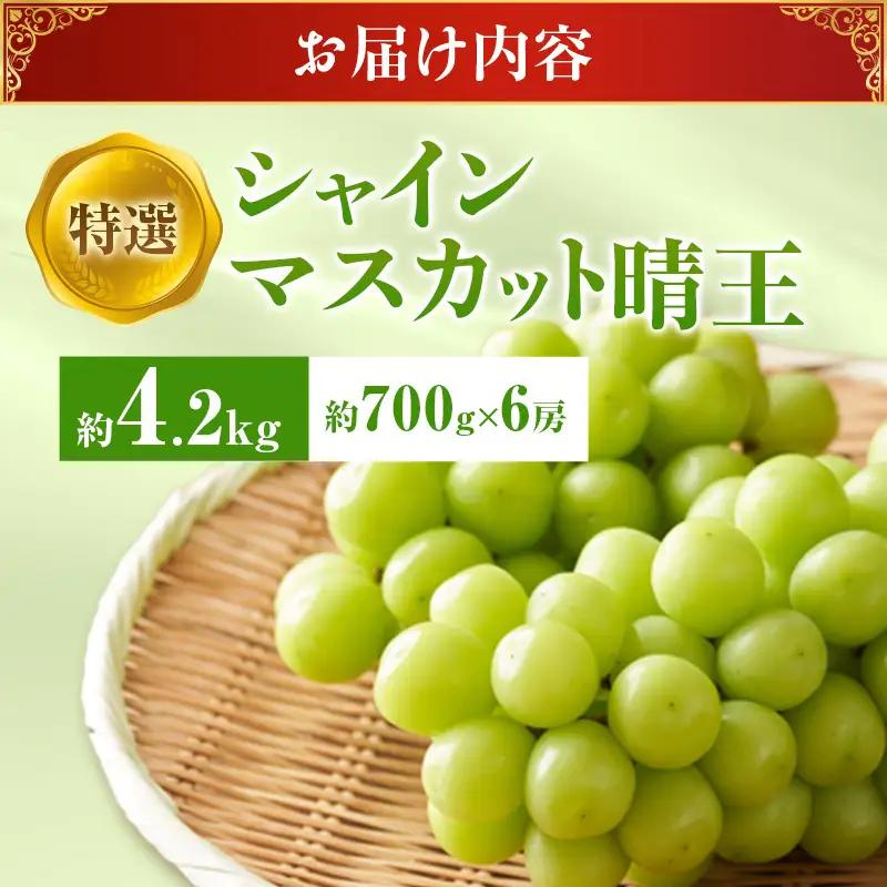 【2026年先行受付】 シャインマスカット 晴王 特選 大房 約700g 6房  岡山県産 シャインマスカット