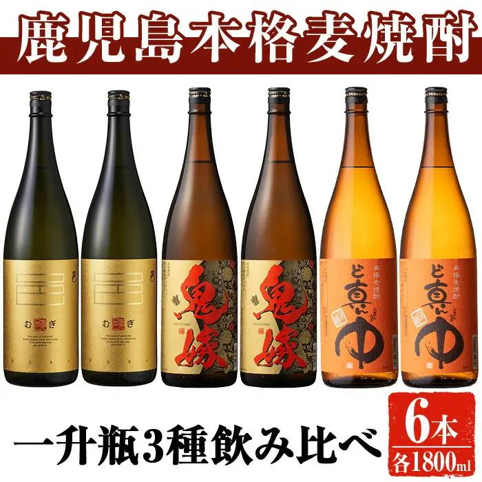 岩川醸造 本格 麦焼酎 飲み比べ 一升瓶 6本 セット (麦焼酎の邑、ど真ん中、鬼嫁：各1800ml×2本)【大隅家】C29-v01
