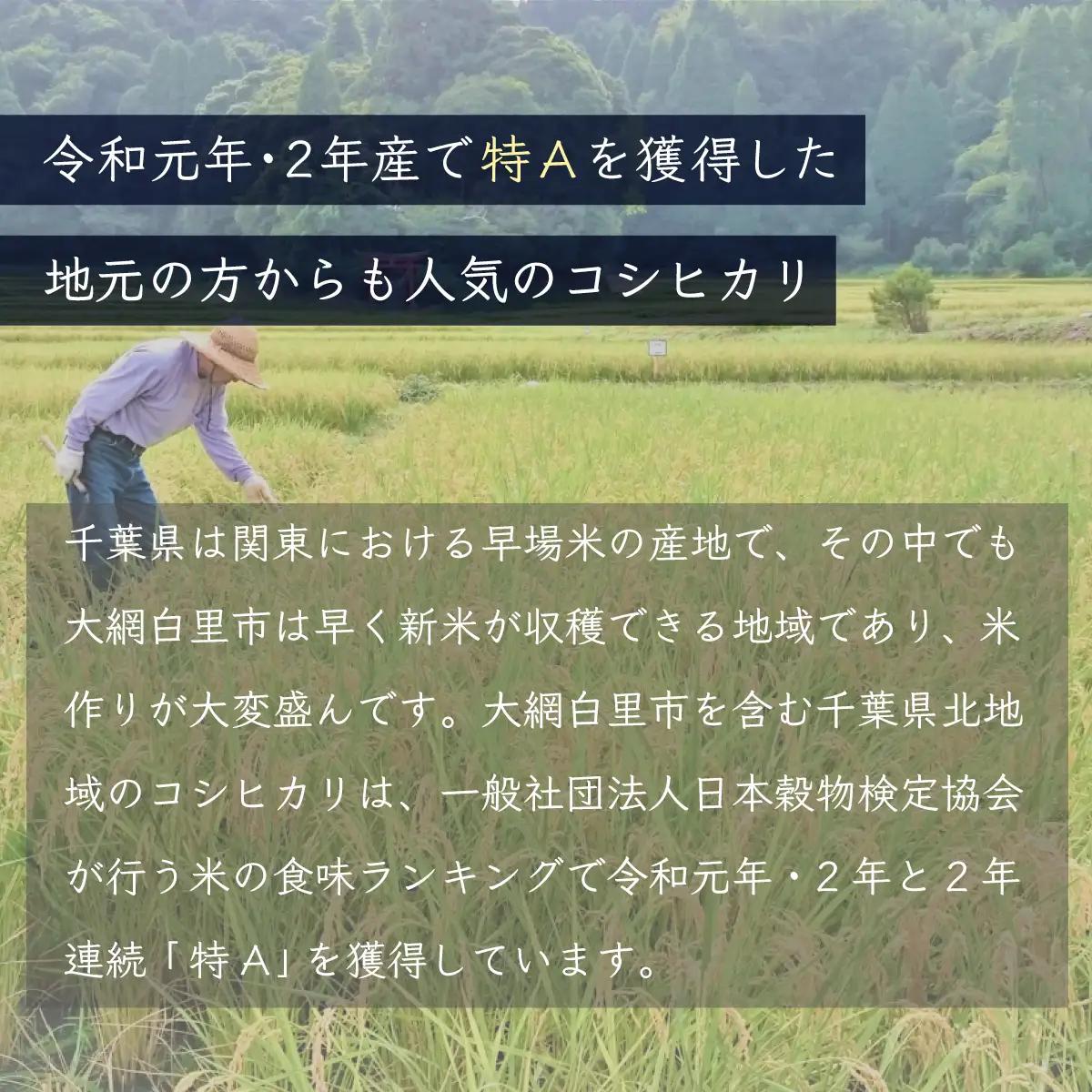＜3ヶ月定期便＞ 令和7年産 千葉県産「コシヒカリ」10kg×3ヶ月連続 計30kg A027